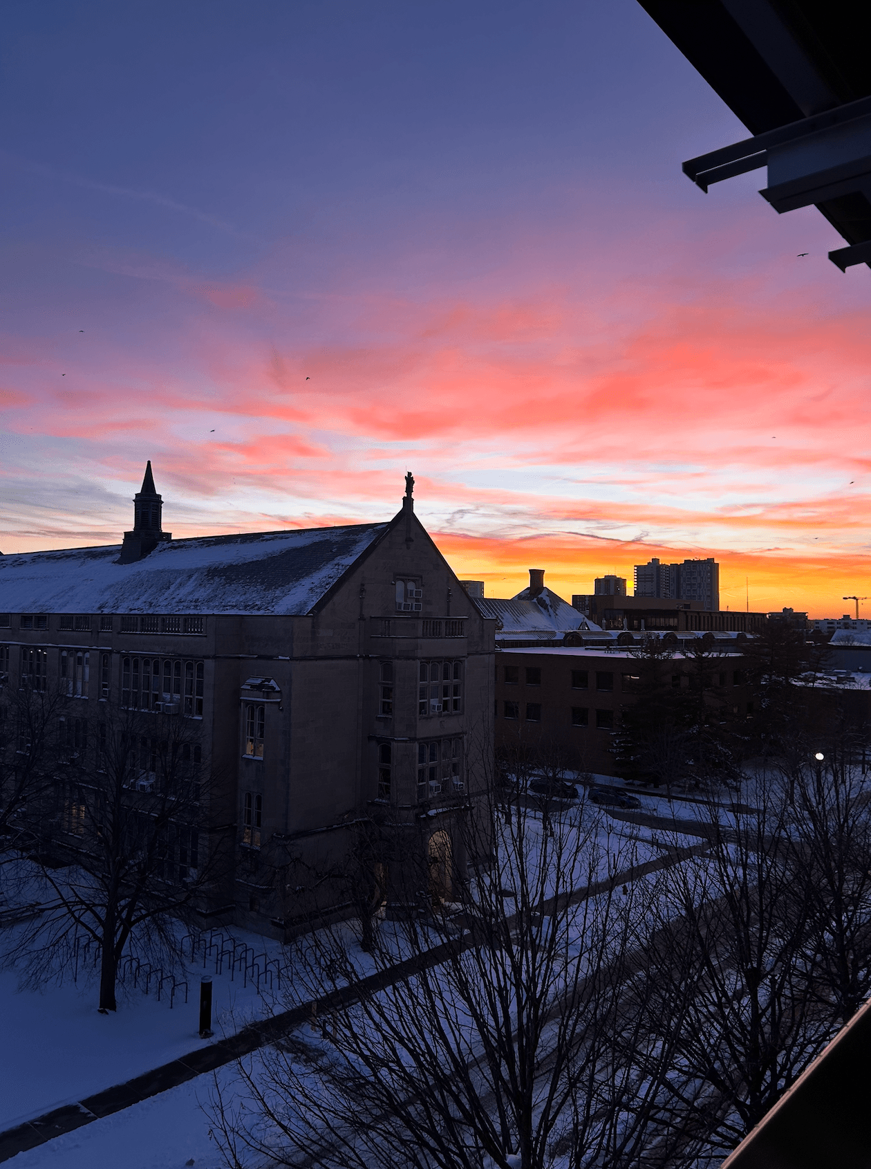 Winter Sunset on the Quad