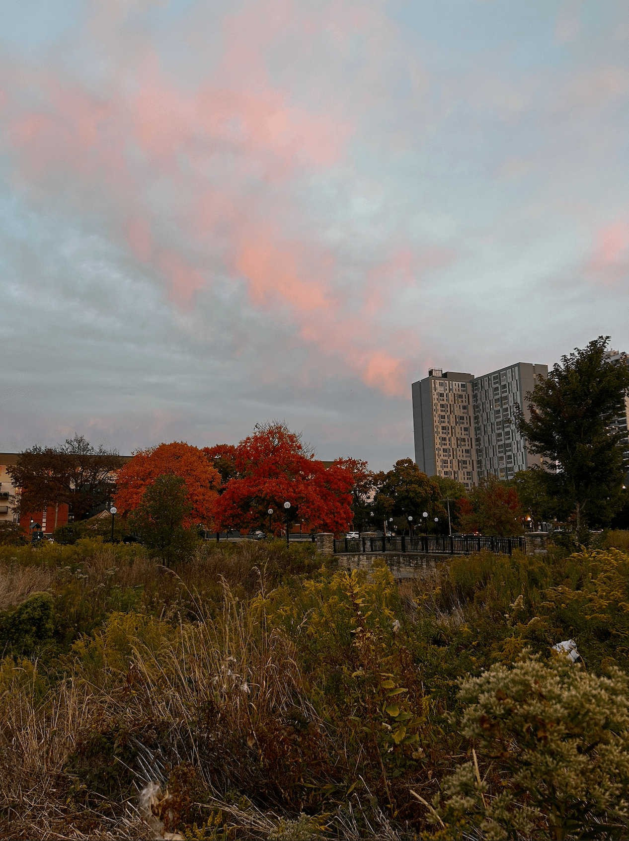 Fall Sunset